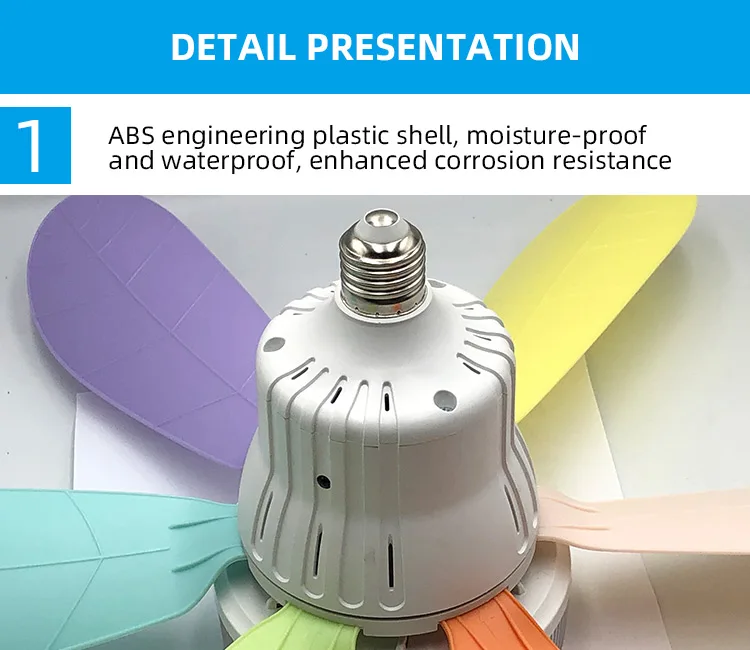 IB405_07.jpg