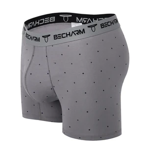 Men Designer Boxershorts Modal Pure Men Briefs & Boxers Sexy Men's Underwear Breathable