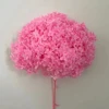 Rosa brillante