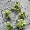 8#  Offerta speciale: 5 rose Iceberg verde.