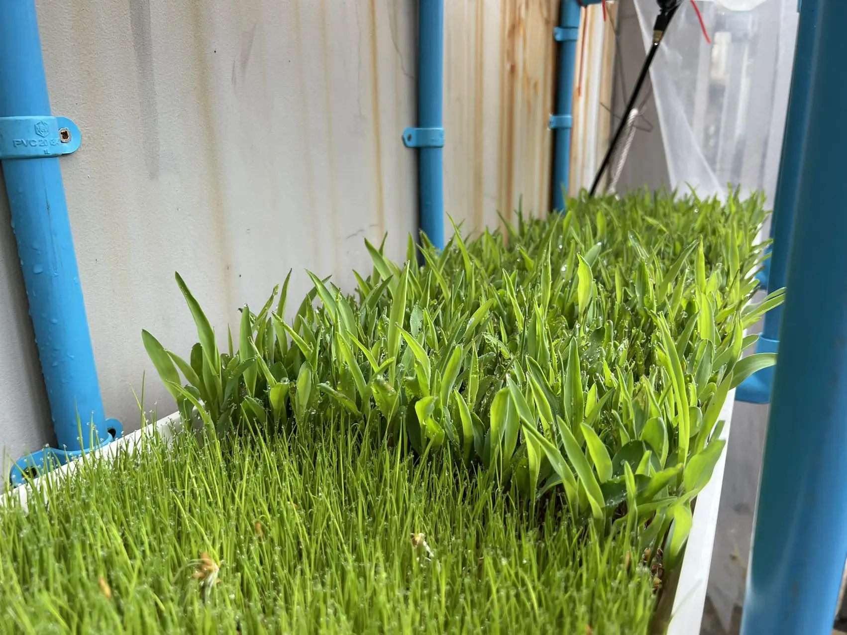 fodder system