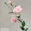 Lisianthus
