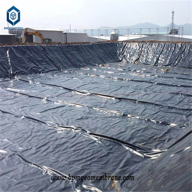 HDPE Geomembrane Manufacturers Outdoor Fish Pond Liner Fish Tanks Geomembrane Pond Lining Sheets for Fish Shrimp Farming