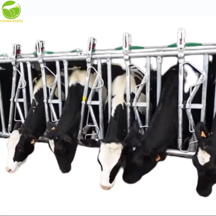 High Good Quality Cow Headlock for Sale