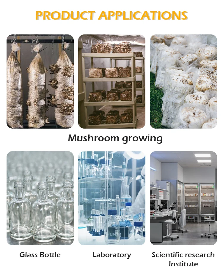 Large capacity 330l sterilIzer autoclave industrial mushroom substrate sorghum grains bag sterilization machine