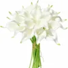 Corpo bianco-cuore bianco-coda verde