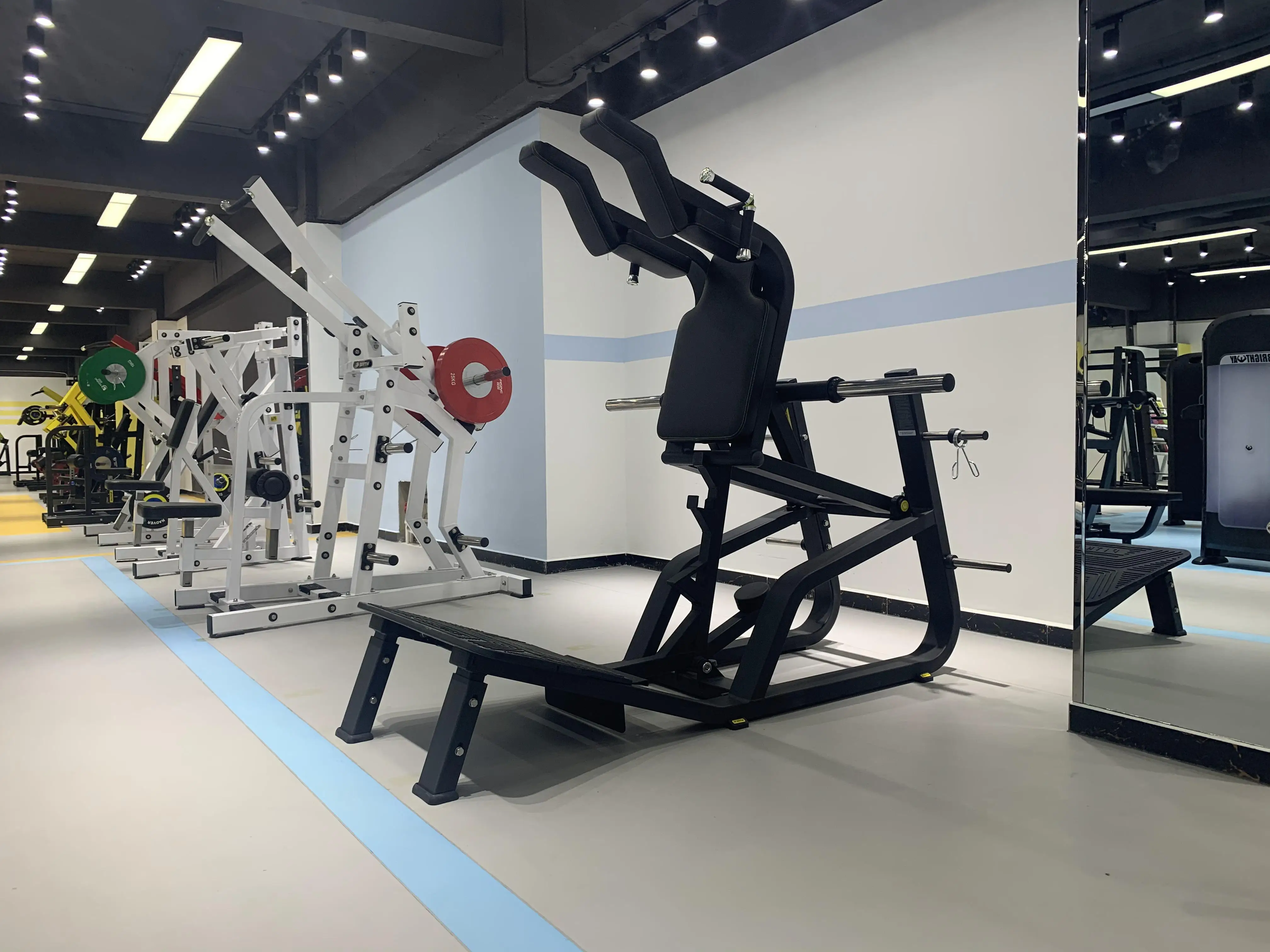 SteelFox Mega Power ウェイトトレーニングマシン MSP800 SteelFox