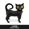 Black cat