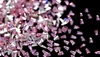 Crystal pink trapezium--1*2*3mm