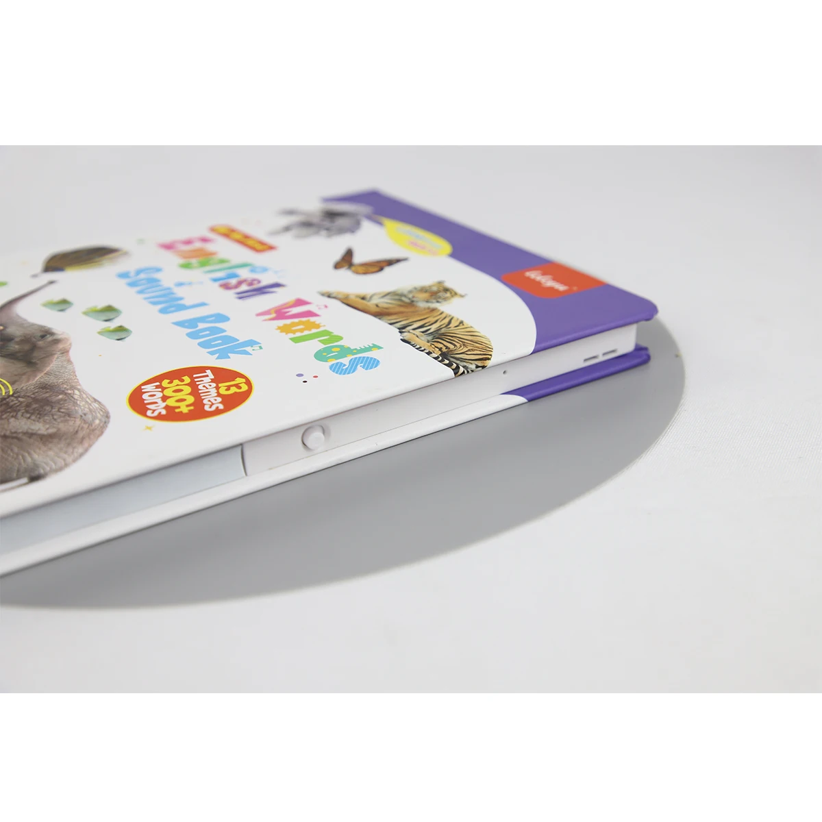 English Sound Books Kids Learn to Learn 300+ Words Book With 13 Learning Themes Activity Sound Book