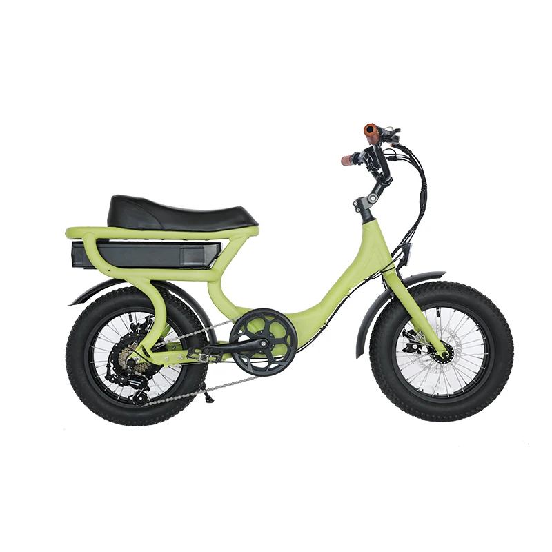 Lafly E-bike 電動自転車 1000W 48V 15ah LAFLY X-2 1000W 90KM Electric Mountain Bike 48V 15Ah Electric Bike