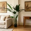 Green 140cm