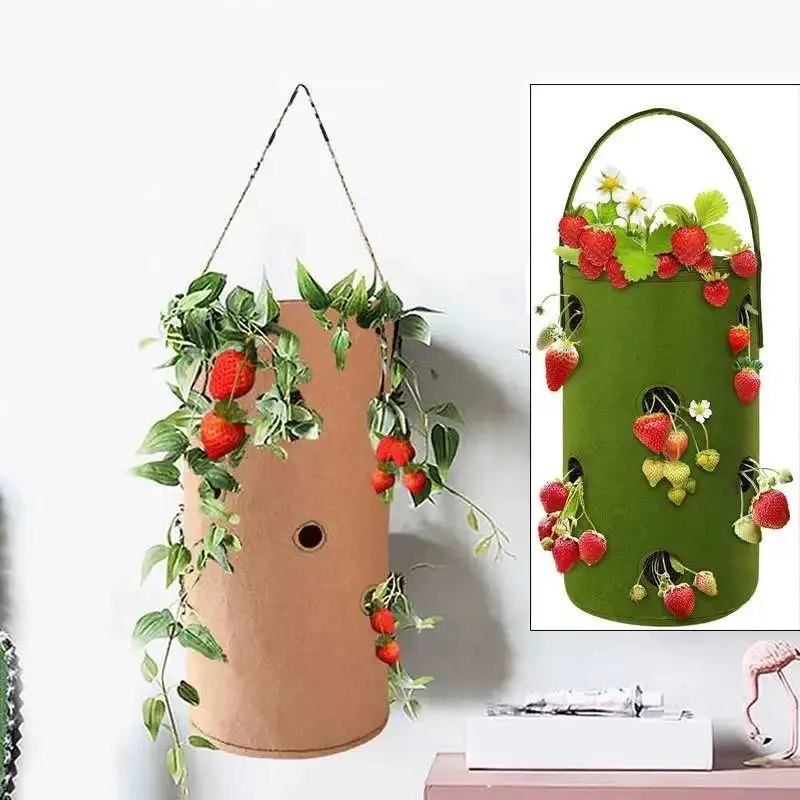 grow bag (1).jpg