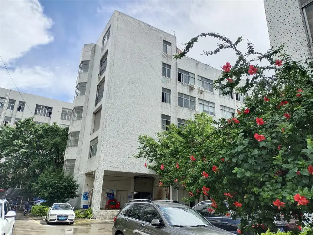 Shenzhen Fancy Packaging Products Co., Ltd.