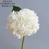 Creamy white