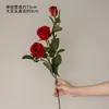 Una rosa roja redonda de tres cabezas.