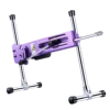 Viola