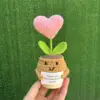 rosa 3