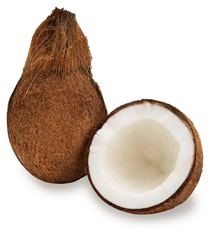 61THuQWrAZL._SX679_.jpg
