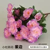 Light purple 7-forked rhododendron