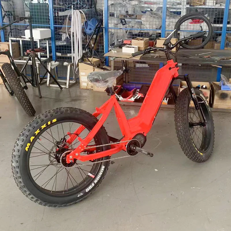 Bafang Automatic Inner Hub 5 Speeds Electric Fat Bike Gates Belt Drive Electric Bicycle 1000W With M620 Dual Batteries Ebike