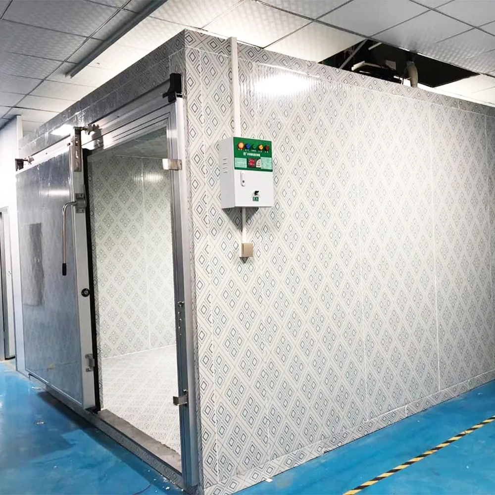 Stable Climate Control Cold Room for Chocolate Confectionery Storage Featuring Solar Copeland Compressor Gear Bearing Core