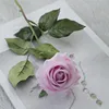 pink-purple