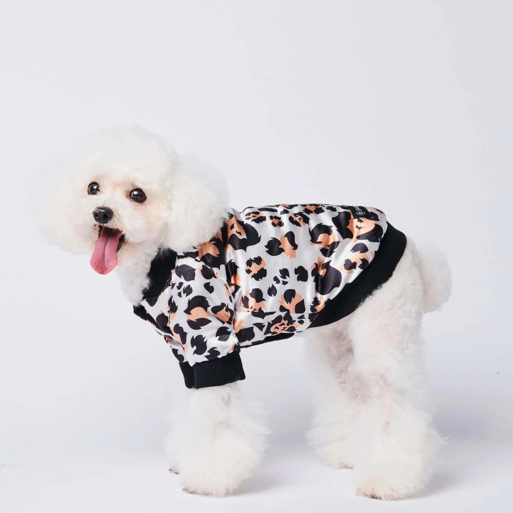 Luxury Dog Clothes, Designer Dog Clothes