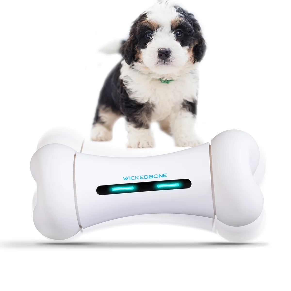 Cheerble Wickedbone Eco-Friendly Remote Control Dog Toy