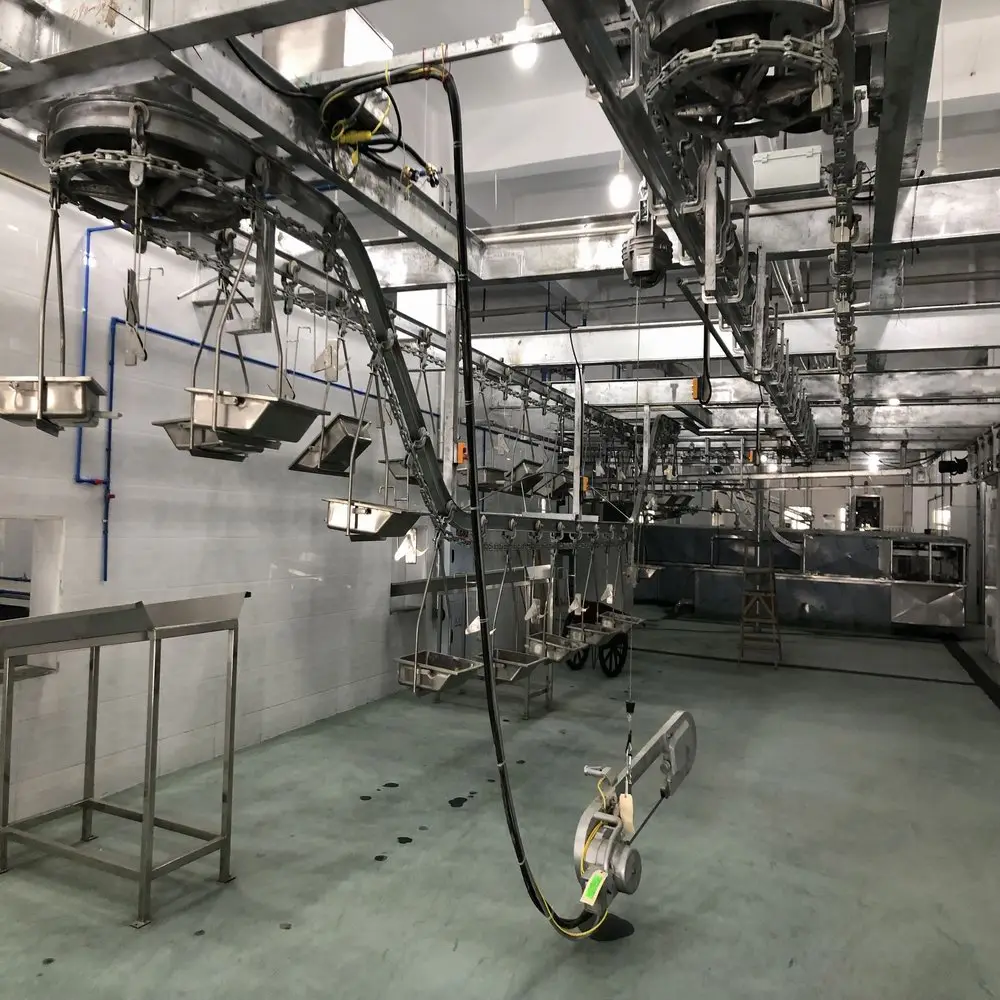 Complete set of pig slaughterhouse production pork slaughtering line machine