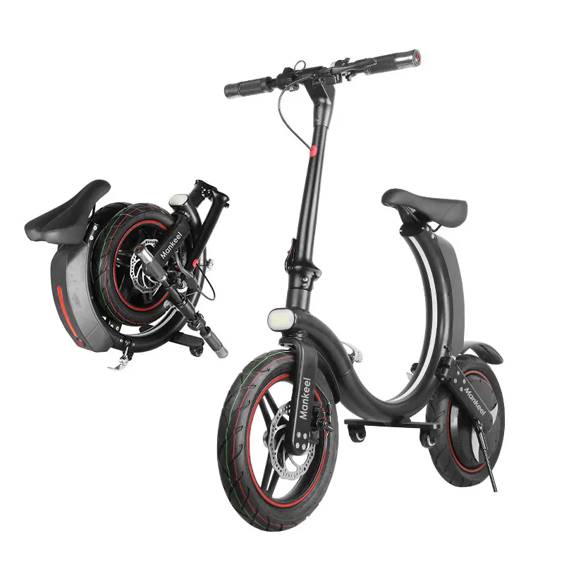 350W Power Folding Electric Bike - 14