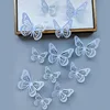 Blue-12pcs