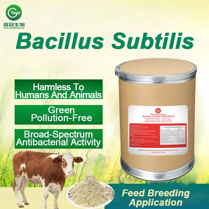 Bacillus Subtilis Animal Feed Additive Probiotics For Animal Feed For