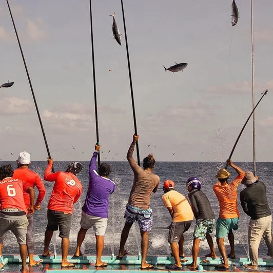 One Section 4m 5m 6m 7m Longfin Pole Jack Pole Skip Jack Fiberglass Tuna Rod