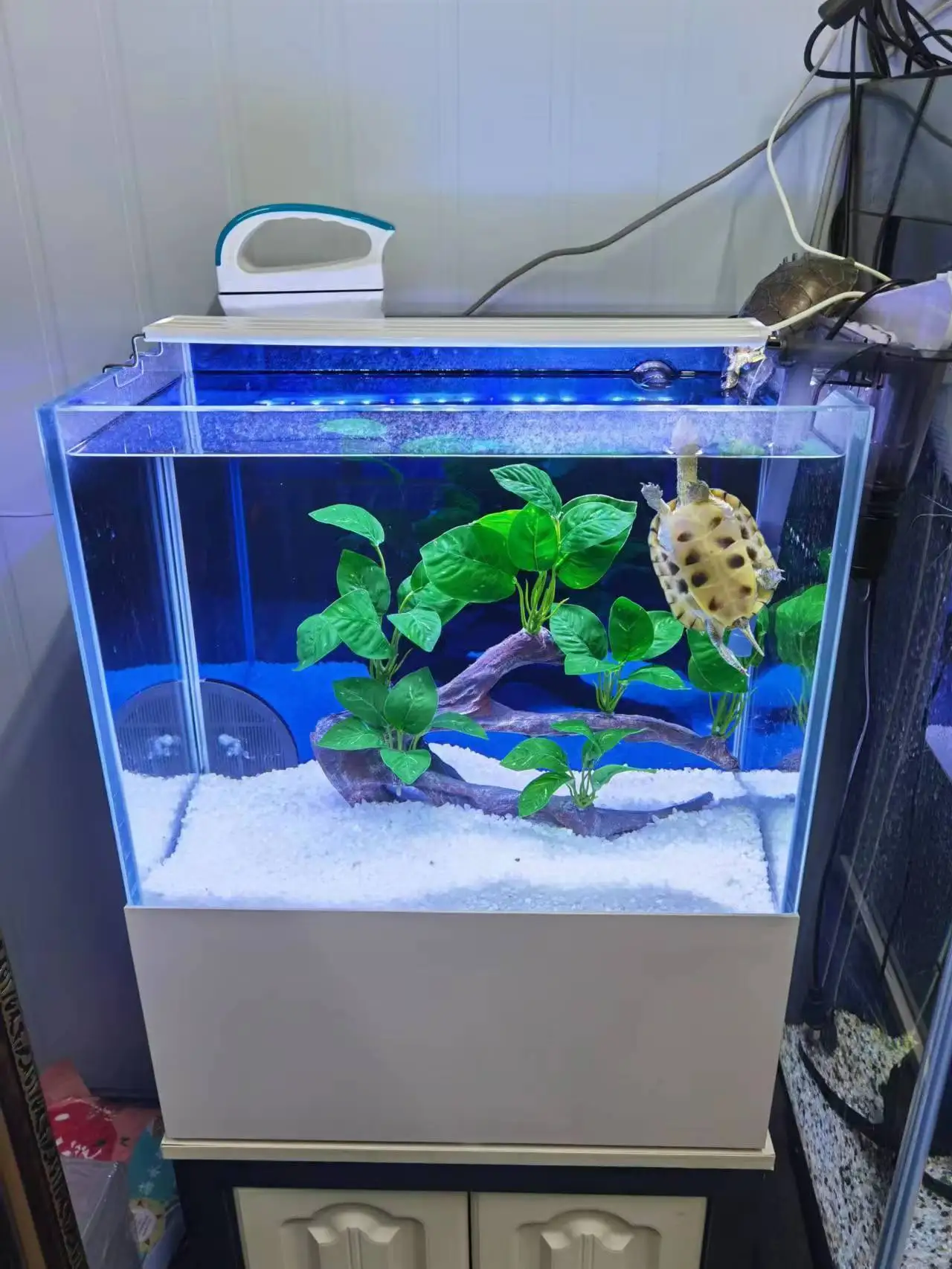 Wholesale Super White Aquarium Perfect for Small Fish Tanks