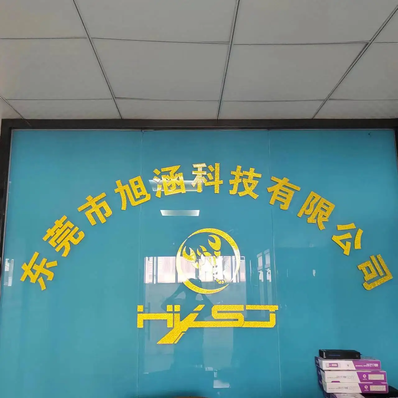 Shenzhen Xinshijie Industrial Co., Ltd.