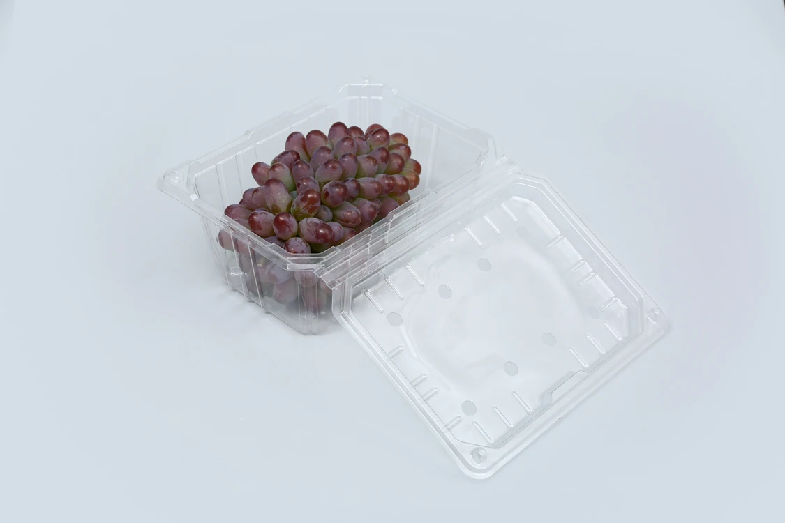 Factory Supply Disposable Plastic Fruit Packaging Container Clemshell