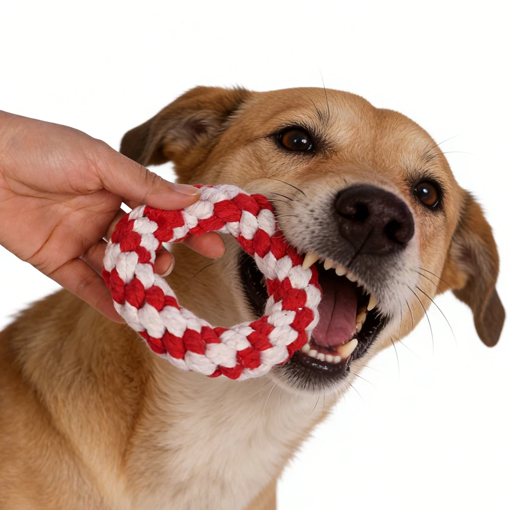 Dog playing with Christmas round rope chew toy