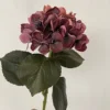 Vino Rosado