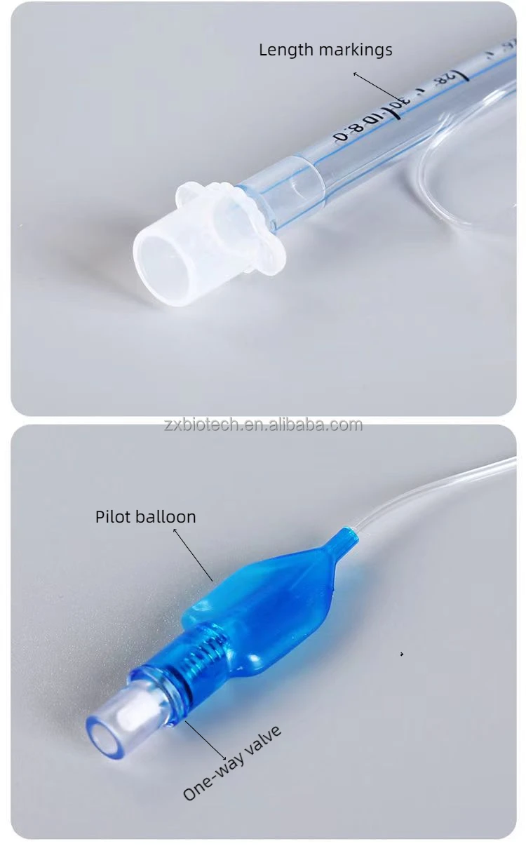 Et Tubes Endotracheal Tube Cuffed Tracheal Cannula Connect Anestesia ...