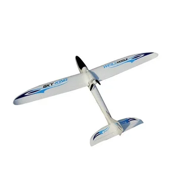 Sky-king Wltoys F959S RC Foam Glider - Fun for All Ages