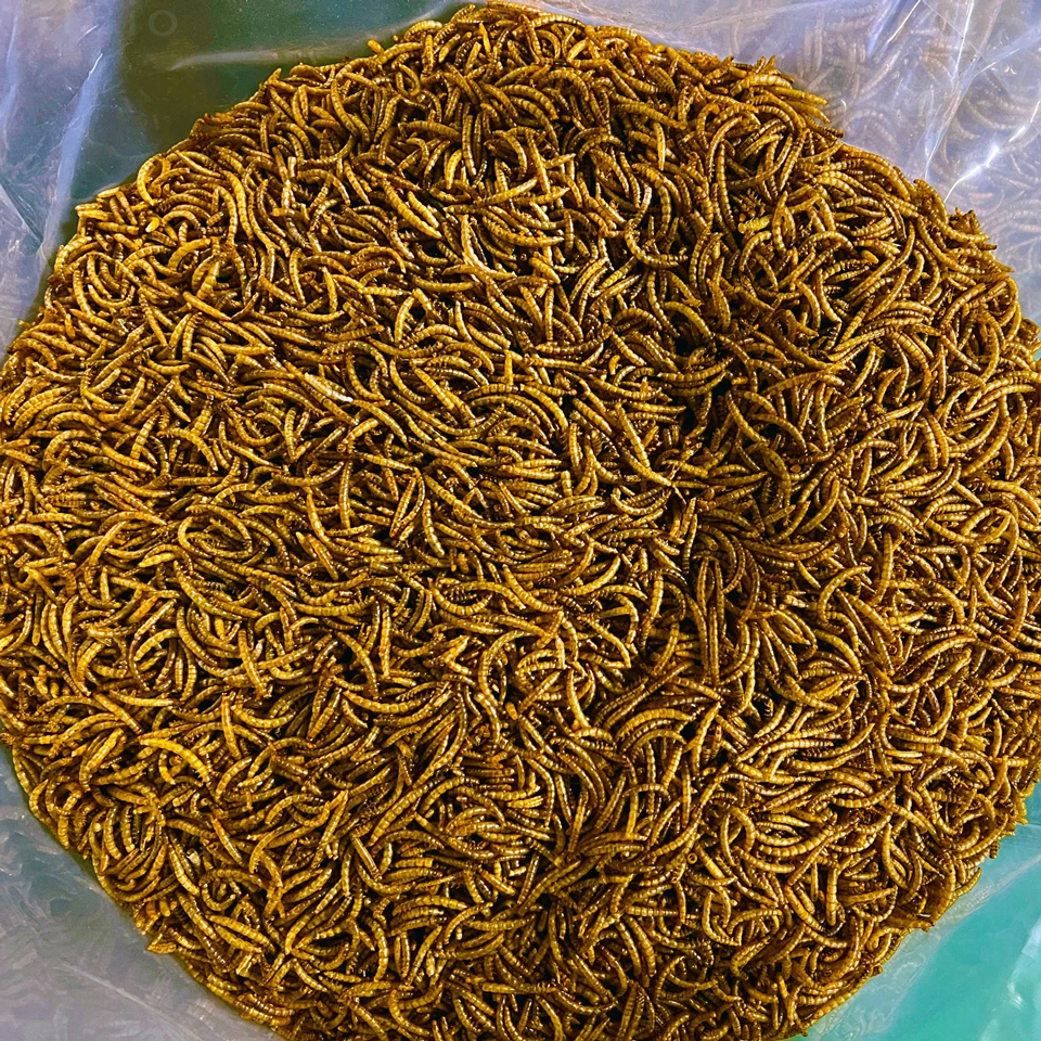 Without Additive 100 Ecofriendly Flour Dehydrated Mealworm Meal Buy
