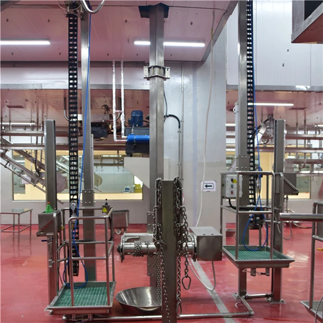 Halal cattle slaughtering line in slaughterhouse with meat processing equipment