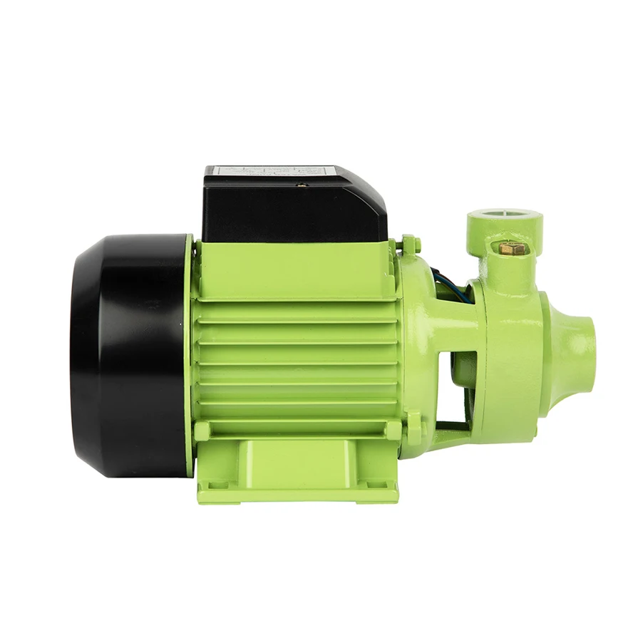 High Efficiency 1Hp Small Electric Power Water Peripheral Pump 110/220V Agricultural Irrigation Water Pumps