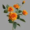 สีส้ม