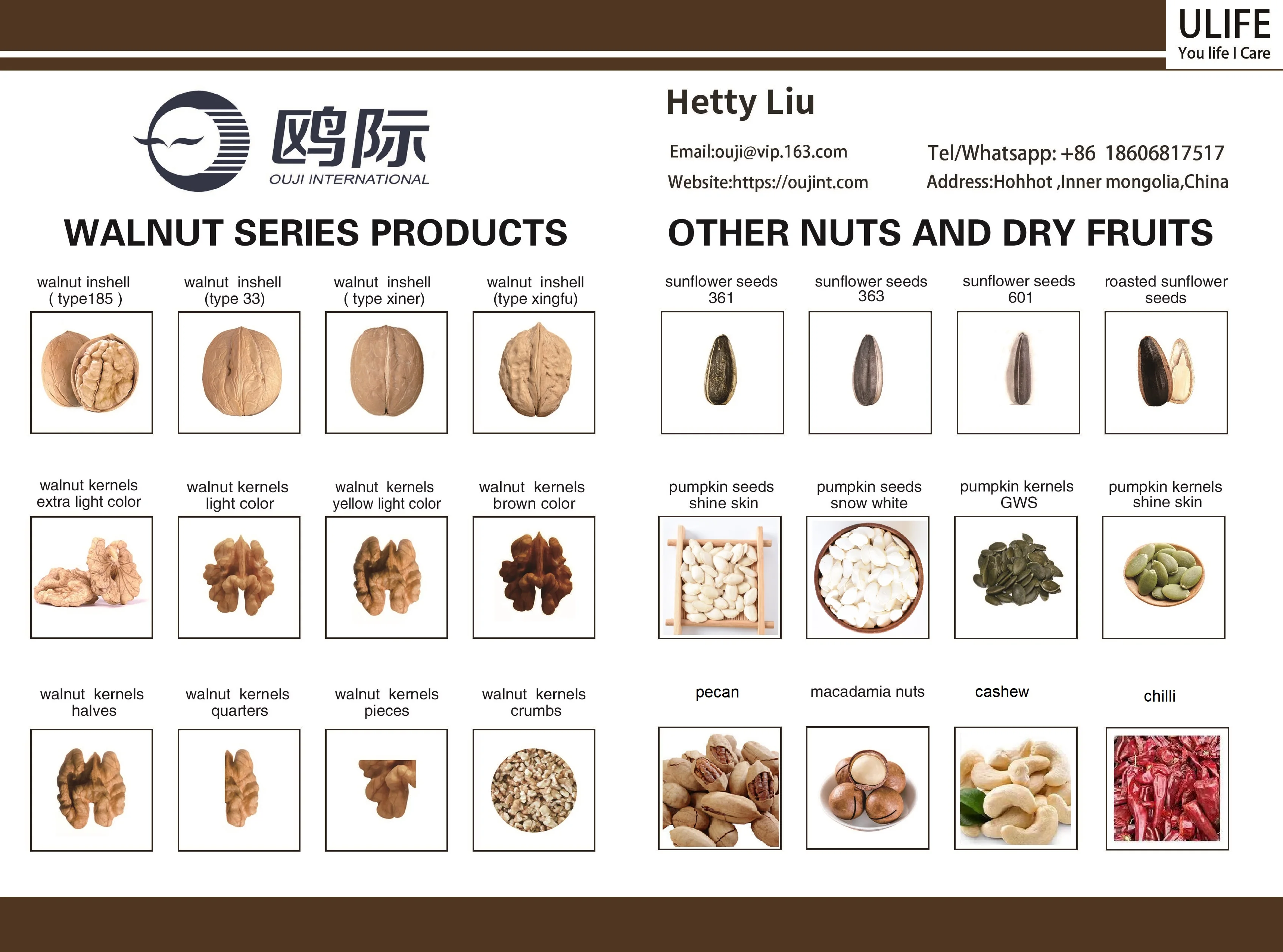 sunflower専用 Best Quality Sunflower Seed 361, 363, 601, T5, T6