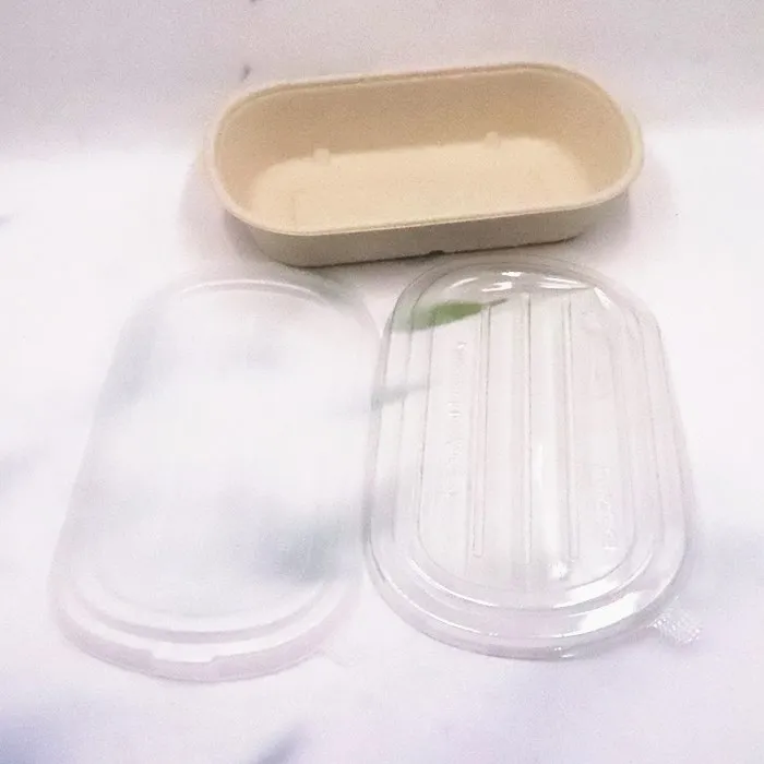 Custom Eco Friendly 3 Compartment Disposable Plates Biodegradable ...