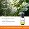 Olio essenziale di tea tree 10ml