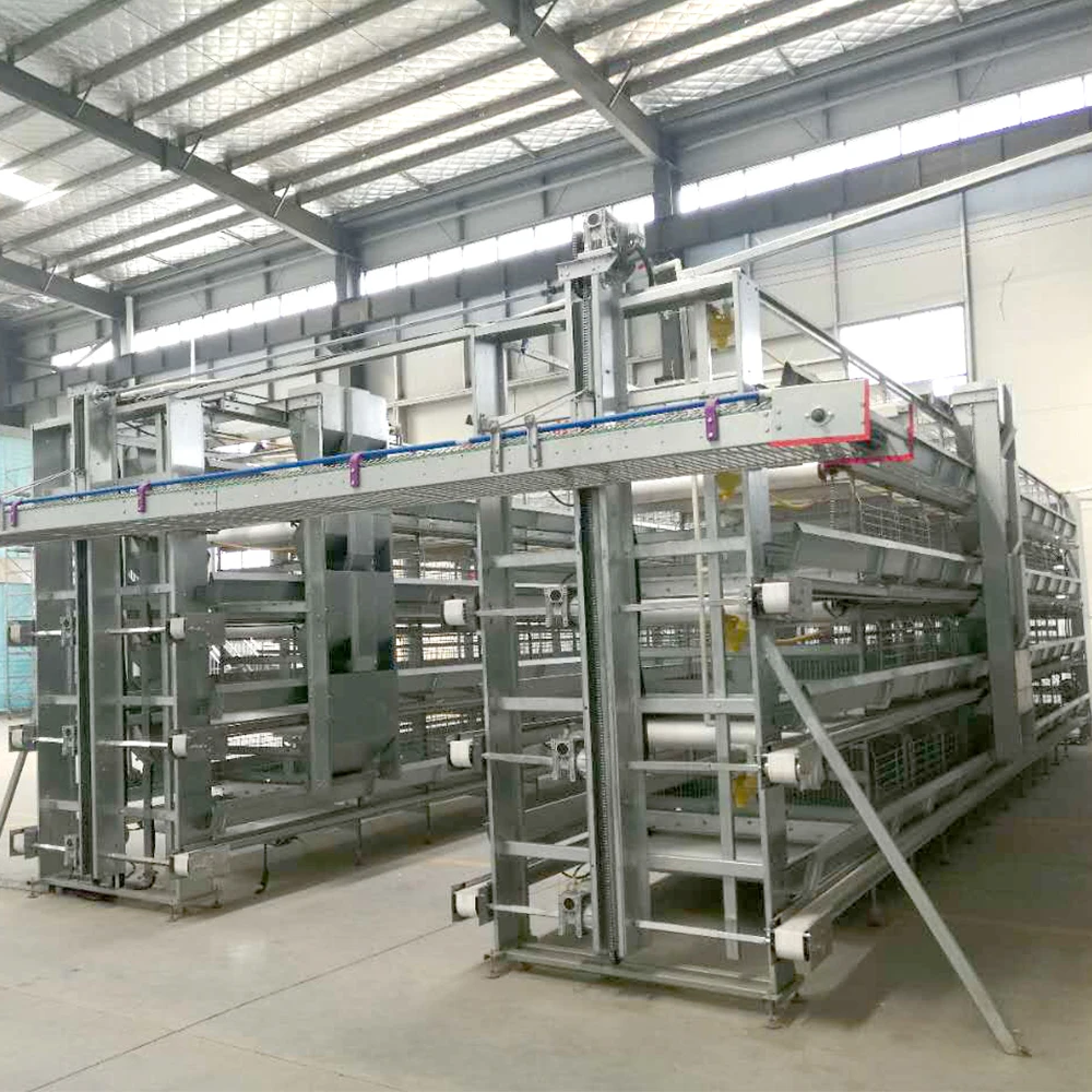 Factory-Priced Chicken Farm Automatic Layer Cage Poultry Farm Welded Iron Wire Mesh Cage Galvanized Steel Wire Mesh Competitive