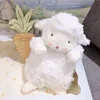 Piccolo agnello